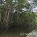 lake_mandicocha_la_h_0162_ecu0865.jpg